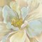 Classic Floral Study II Poster Print by Pamela Gladding - Item # VARPDXRB9943PG